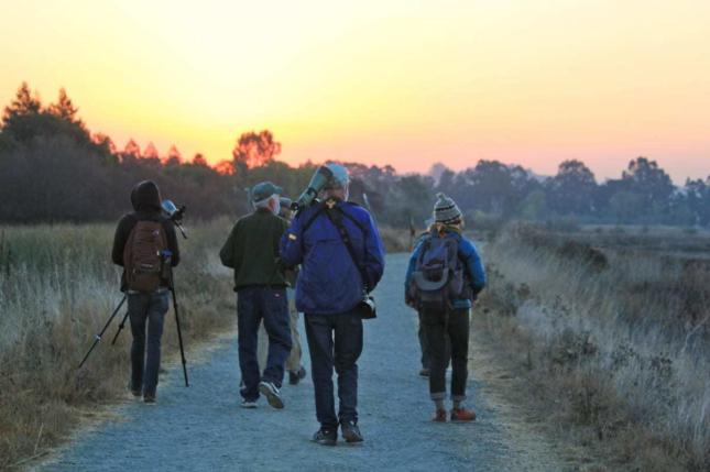 Shollenberger Birding Group