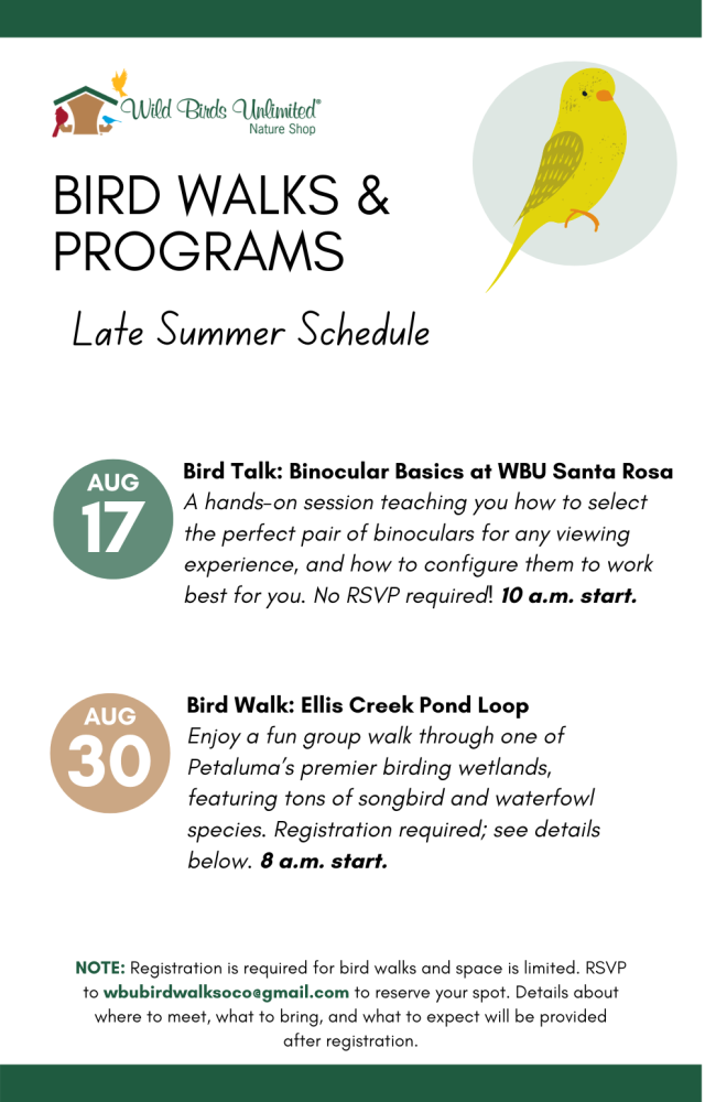 August Bird Walks & Programs