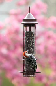 Fundamentals Squirrel-proof Feeder Fundamentals Squirrel-proof Feeder